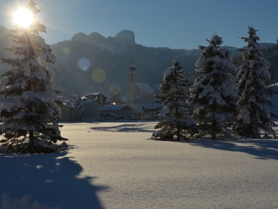 Unken im Winter