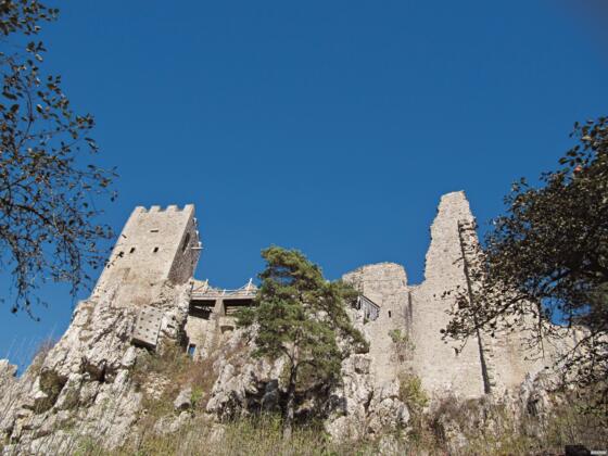 Burgruine Weißenstein