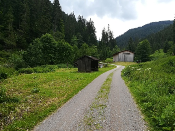 Gravel Bike Tour in die Almenwelt Lofer