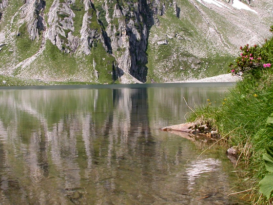 Der Seebach See