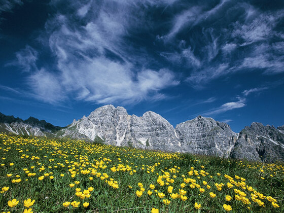 Schlicker Kalkkögel