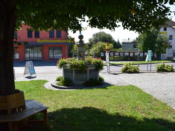 Marktplatzbrunnen Grünbach, Ausgangspunkt einiger Wanderungen