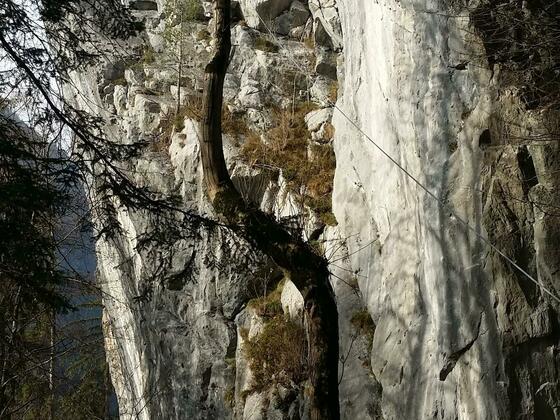 Kletterwand Lorünser Wändle