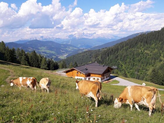 Haibenalm
