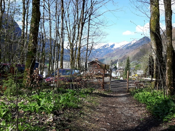 Blick auf den Parkplatz, dahinter der Ortsrand von Schnepfau.