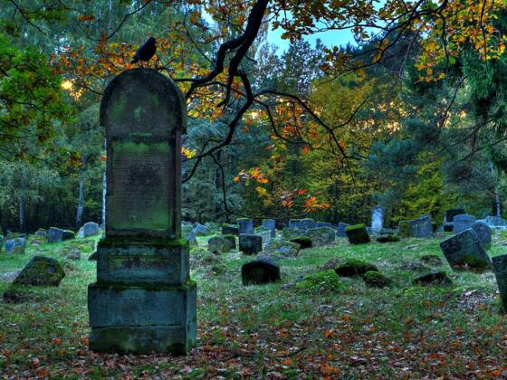 Jüdischer Friedhof (B. Steiner)