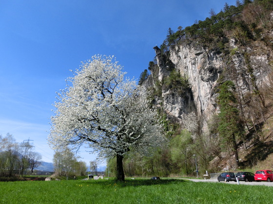 Frühling am Parkplatz vor dem &quot;Hangenden Stein&quot;
