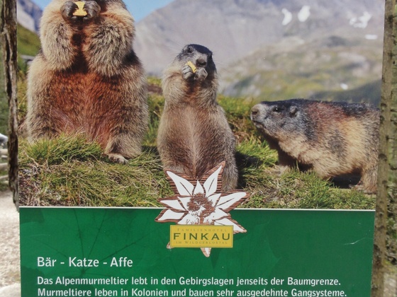 Schautafel am Wegrand