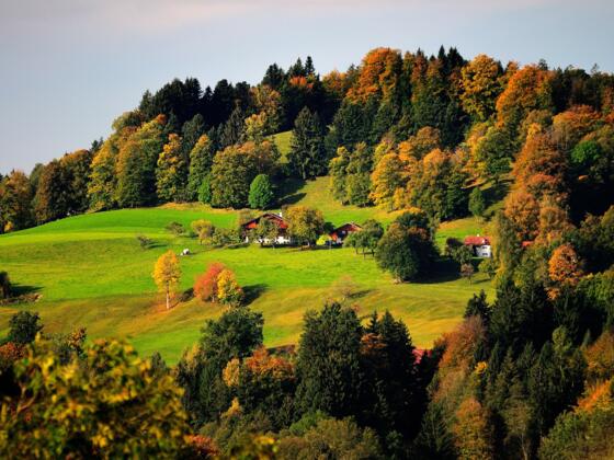 Aussicht auf Höfe in Wackersberg