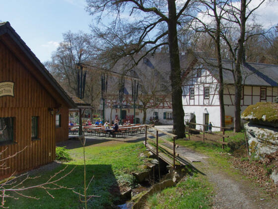 Zum Fiedler