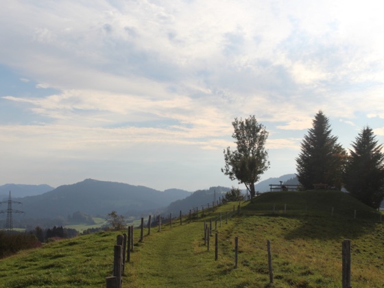 Aussicht vom Roderbühl