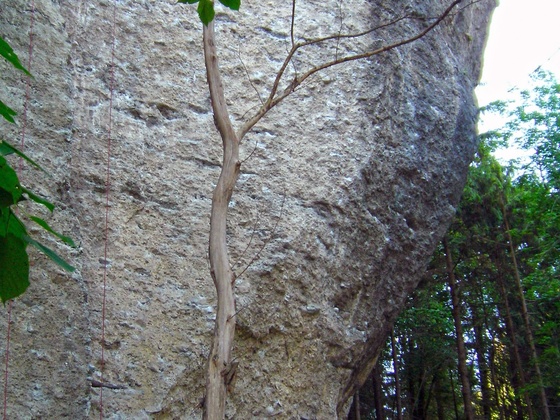 Klettergarten Bürser Schlucht
