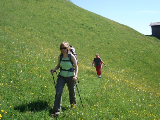 Durch Wiesen (markierte Wege) auf Sonnenwanderweg