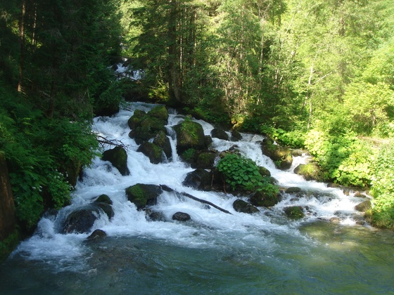Bachlehrweg am Bach entlang