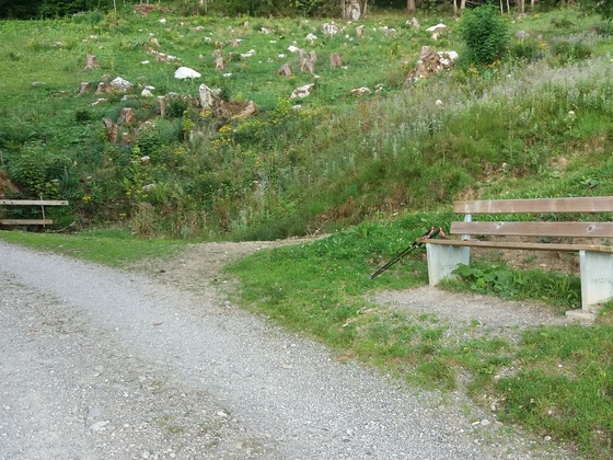 Die &quot;Nenzinger Sitzbank&quot; auf ca. 1145 m bietet einen schönen Rastplatz.