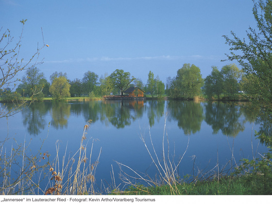 Jannersee im Lauteracher Ried