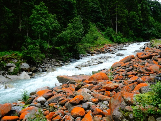 Ein Naturphänomen - die rot gefärbten Steine am Bach