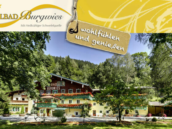 Pension Heilbad Burgwies ***