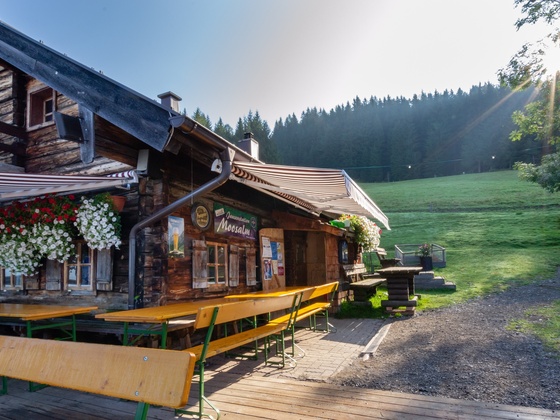 Die Moosalm im Sommer