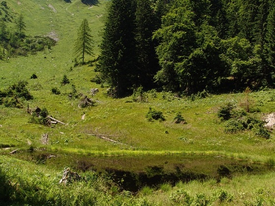 Herzerlsee