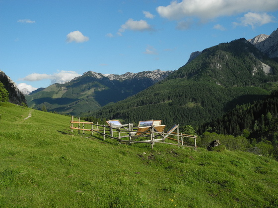 Panoramablick am Rundwanderweg "Von Alm zu Alm" am Hengstpaß, Nationalpark Kalkalpen