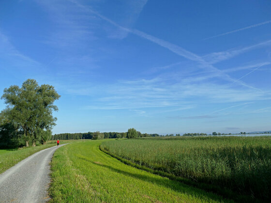 Gebiet Rheindelta