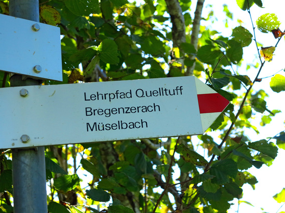 Gut markiert: Quelltuff-Lehrpfad Lingenau.