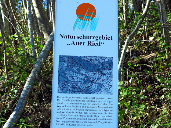 Infotafel Naturschutzgebiet Auer Ried.
