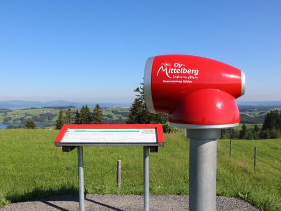 Viscope mit Lehrtafel des Geologischen Lehrpfads "Steinmeile"