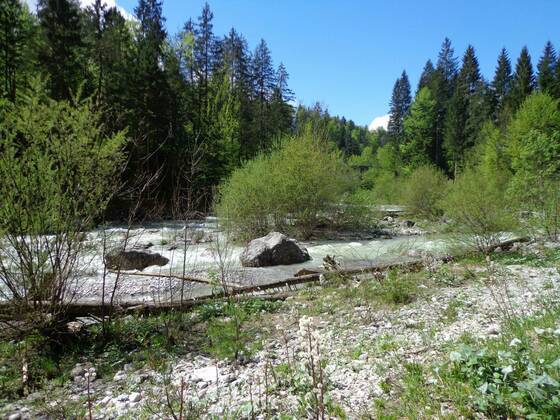 Die wilde Loisach