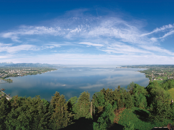 Bodensee-Panorama vom Pfänderrrücken