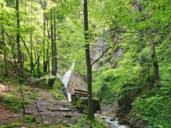 Wasserfall in Berg