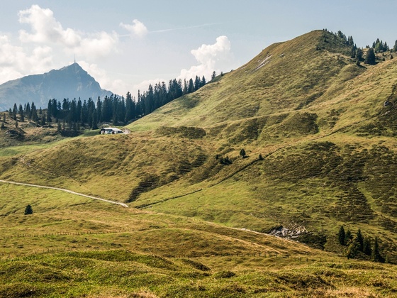 Kitzbüheler Horn und Baumooskogl