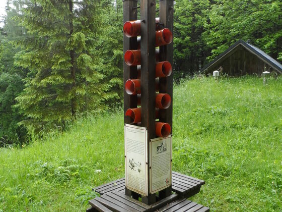 Rondell mit Infos zu Flora und Fauna