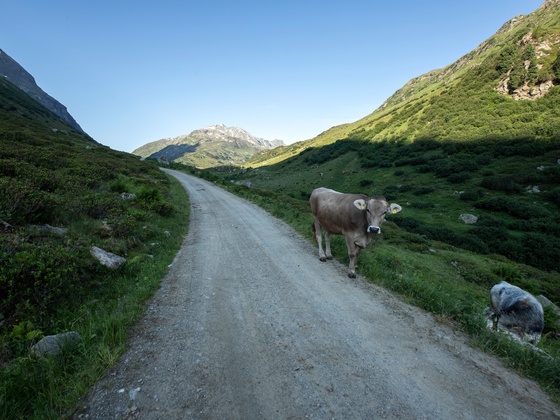 Schönverwalltal (c) Lucas Tiefenthaler