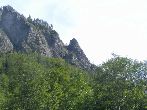 Brentköpfl