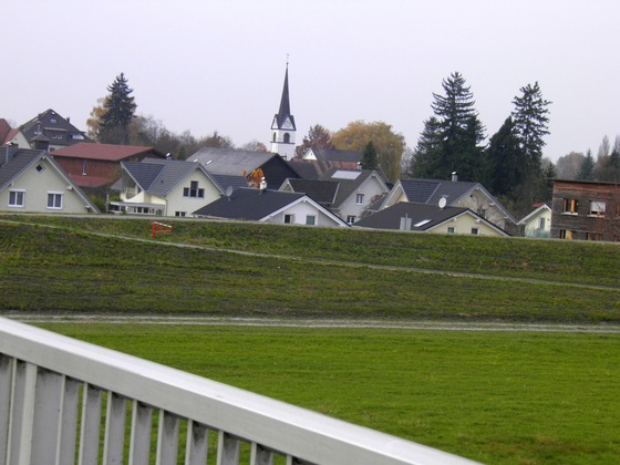Fussach hinter dem Rhein-Damm
