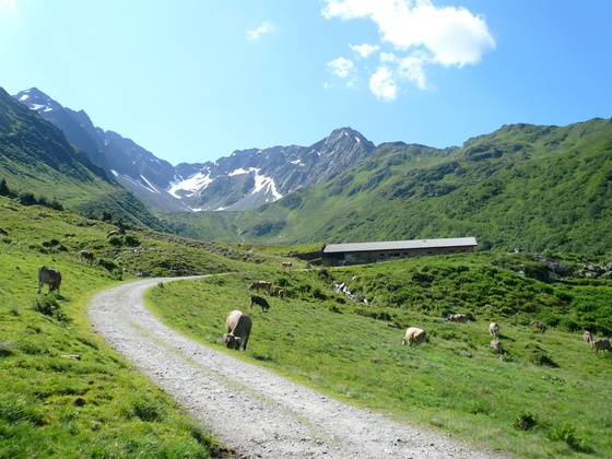 Obere Wasserstubenalpe