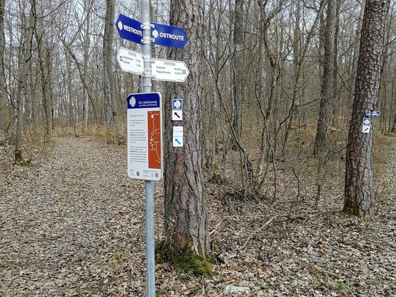 Kreuzung zum "Abzweig Ramsthal"