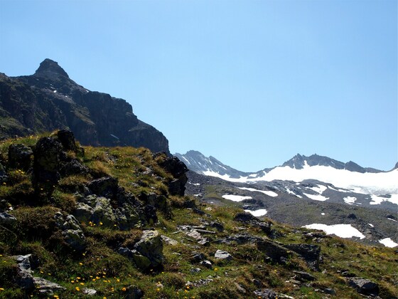 Vermuntkopf 2851 m