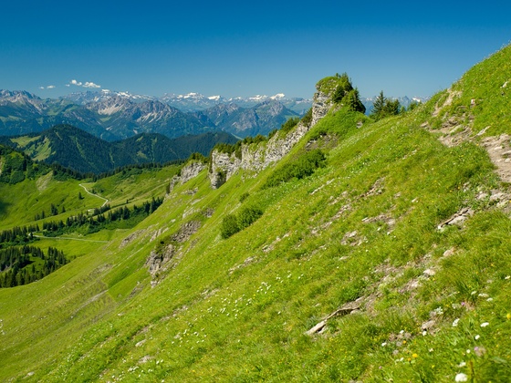 Blick zum Matonajöchle