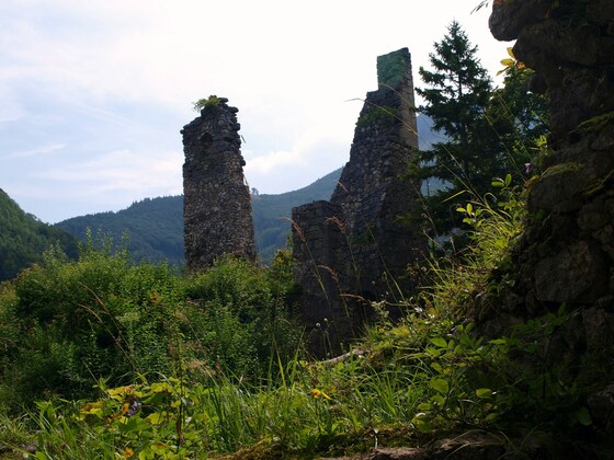 Ruine Scharnstein 640m