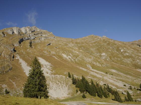 Die Südflanke der Kanisfluh ist grasbewachsen.