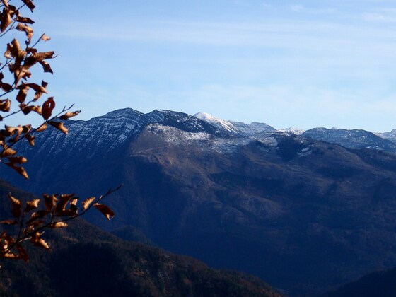 Gartenzinken 1557 m, Blick zur Hohen Schrott