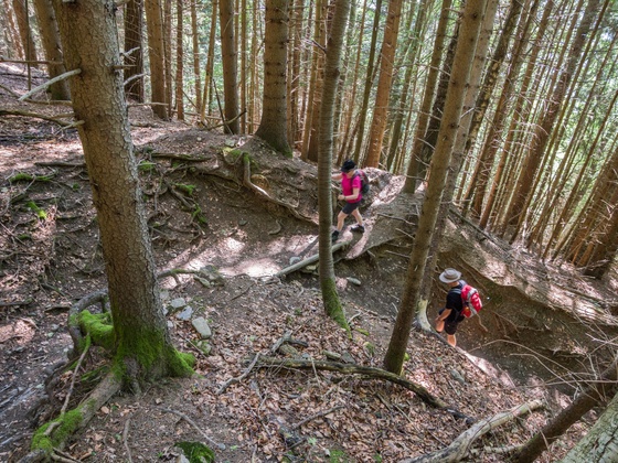Anstieg zur Feldkircher Hütte