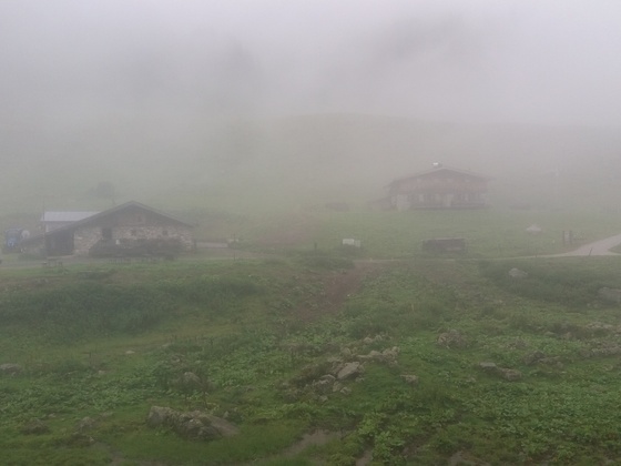 Wildalm: rechts führt der Steig zum Wildseeloderhaus hinauf.