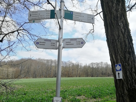 Ende der "Variante Ramsthal" des Jakobsweges Vacha-Fulda-Würzburg