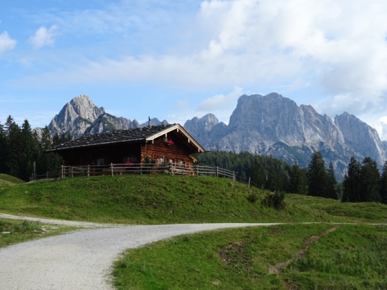 MTB Tour auf die Litzlalm / Gerhardstein