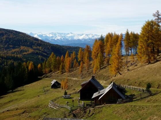 Dorferalm mit Blick in den Lungau
