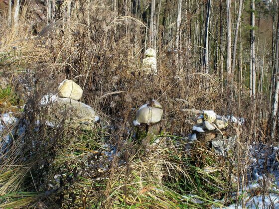 Zahlreiche Steinmandln weisen den Weg